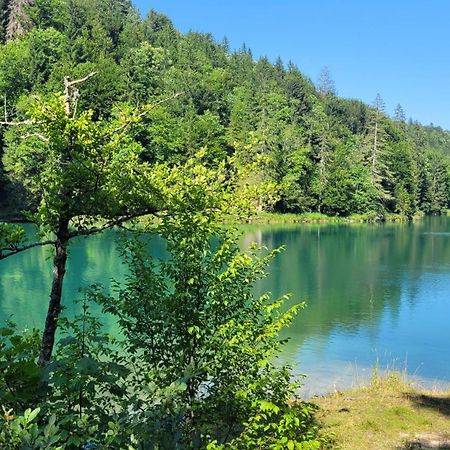 B&B Plitvica Villa Prica Плитвицкие озёра Экстерьер фото