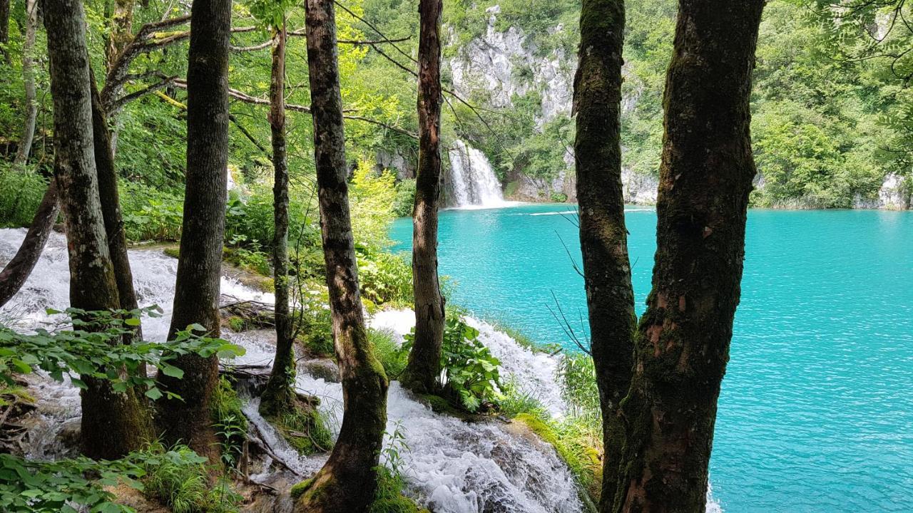 B&B Plitvica Villa Prica Плитвицкие озёра Экстерьер фото