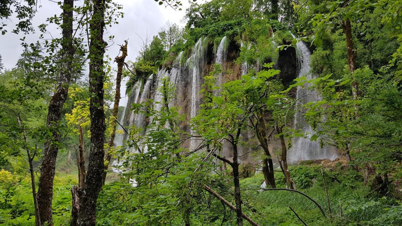 B&B Plitvica Villa Prica Плитвицкие озёра Экстерьер фото