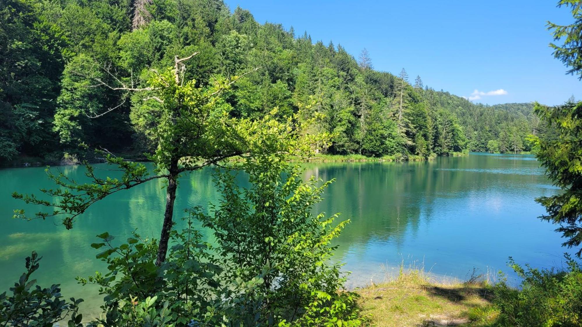 B&B Plitvica Villa Prica Плитвицкие озёра Экстерьер фото